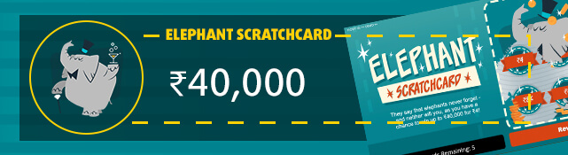 Win the top prize of ₹4,00,000 every month for the next 10 years with the Elephant Scratchcard